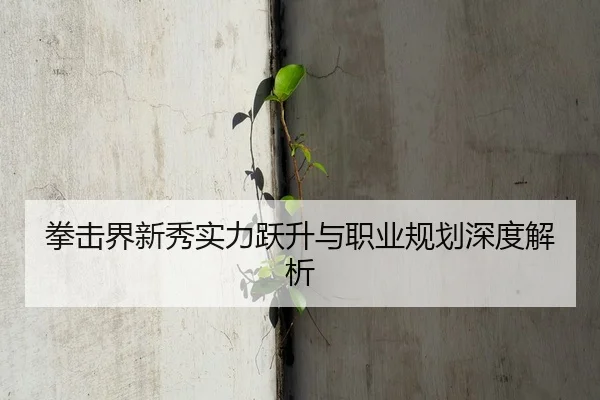 拳击界新秀实力跃升与职业规划深度解析